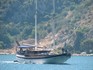 charter boat Gulet 28/7